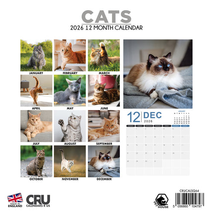 CalendarsRUs Katten Kalender 2026