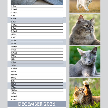 CalendarsRUs Katten Slimline Kalender 2026