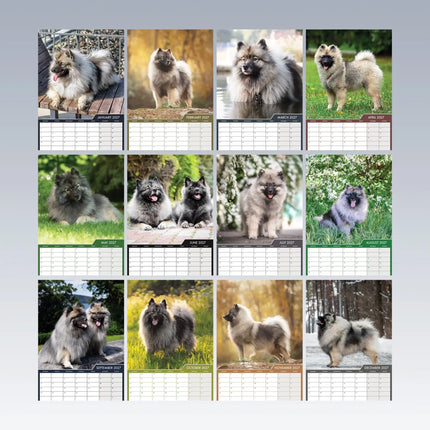 CalendarsRUs Keeshond A3 Kalender 2027