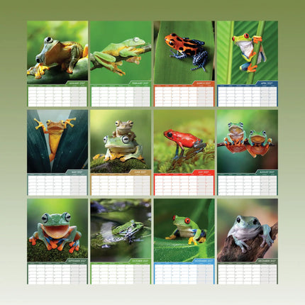 CalendarsRUs Kikker A3 Kalender 2027