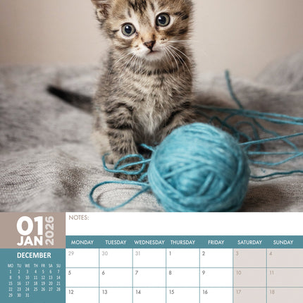 CalendarsRUs Kittens A3 Kalender 2026