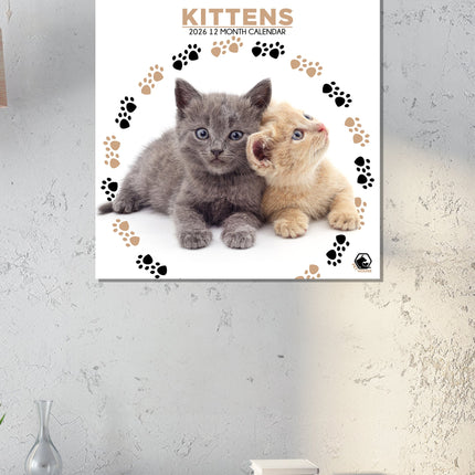 CalendarsRUs Kittens Kalender 2027