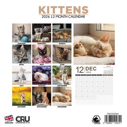 CalendarsRUs Kittens Kalender 2027
