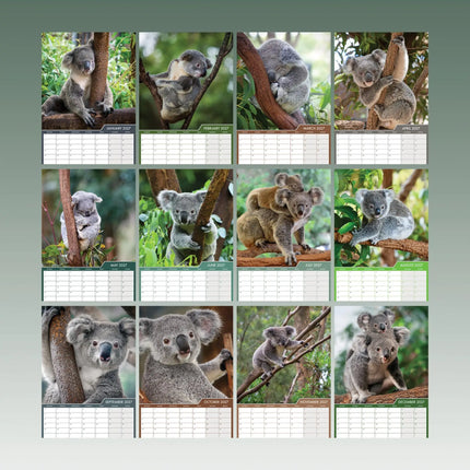 CalendarsRUs Koala A3 Kalender 2027