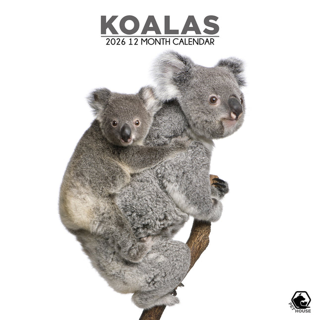 CalendarsRUs Koala Kalender 2026