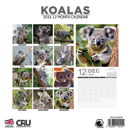 CalendarsRUs Koala Kalender 2026