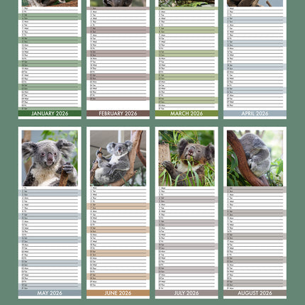 CalendarsRUs Koala Slimline Kalender 2026