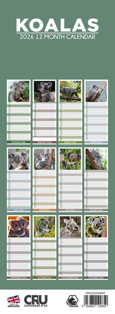 CalendarsRUs Koala Slimline Kalender 2026