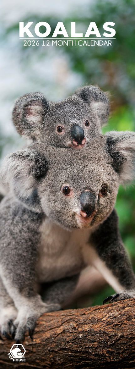 CalendarsRUs Koala Slimline Kalender 2026