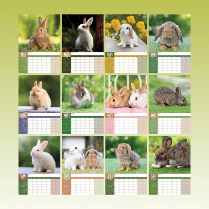CalendarsRUs Konijnen A3 Kalender 2026
