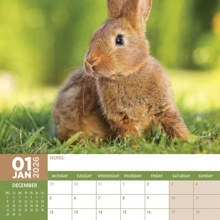 CalendarsRUs Konijnen A3 Kalender 2026