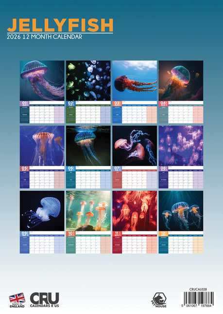 CalendarsRUs Kwallen A3 Kalender 2026