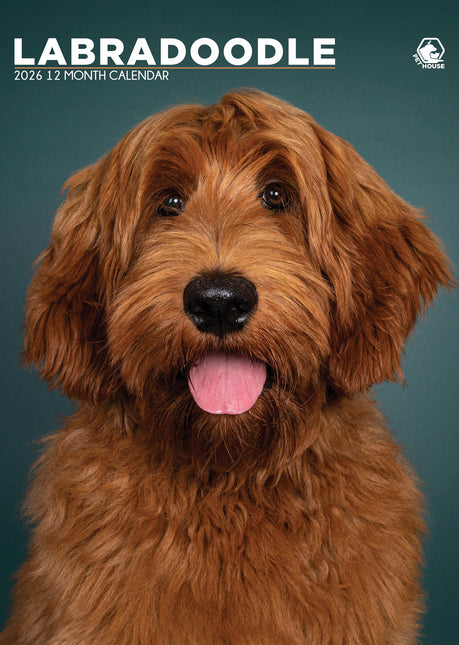 CalendarsRUs Labradoodle A3 Kalender 2026