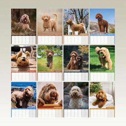 CalendarsRUs Labradoodle A3 Kalender 2027