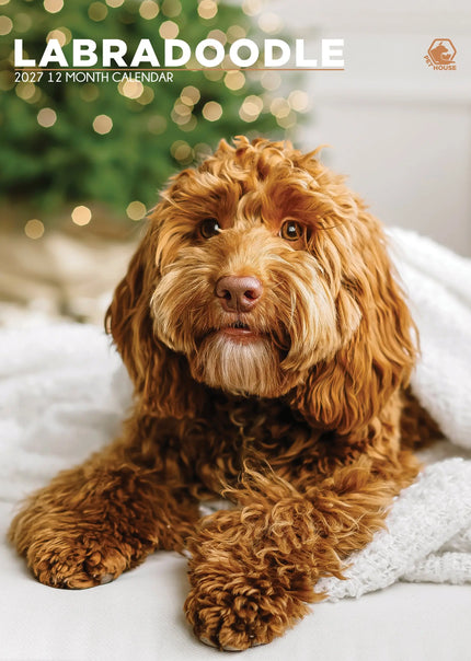 CalendarsRUs Labradoodle A3 Kalender 2027