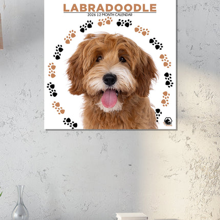 CalendarsRUs Labradoodle Kalender 2026