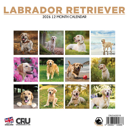 CalendarsRUs Labrador Retriever Blond Kalender 2026