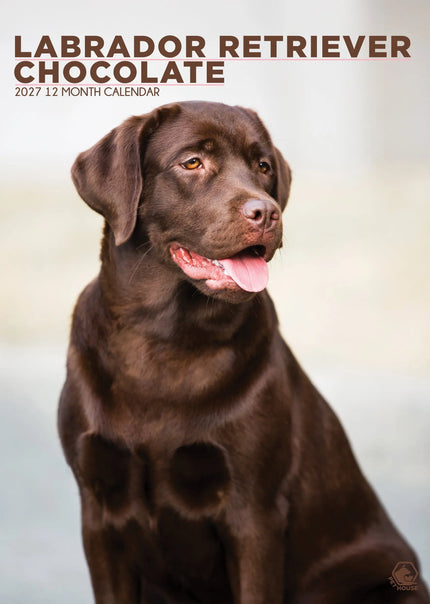 CalendarsRUs Labrador Retriever Bruin A3 Kalender 2027