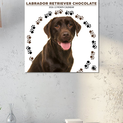 CalendarsRUs Labrador Retriever Bruin Kalender 2026