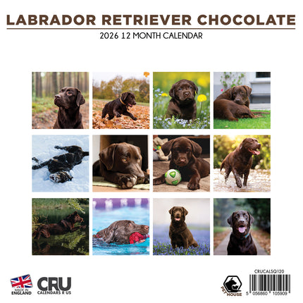 CalendarsRUs Labrador Retriever Bruin Kalender 2026
