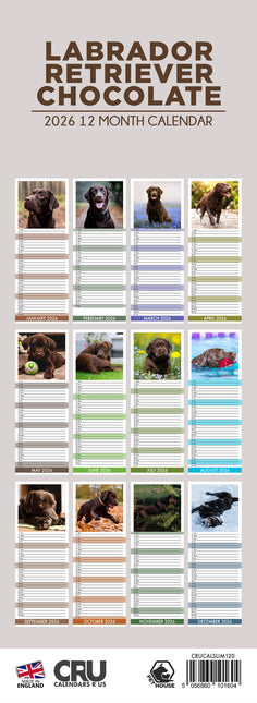 CalendarsRUs Labrador Retriever Bruin Slimline Kalender 2026