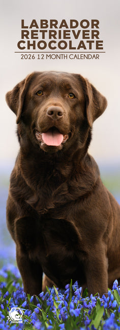 CalendarsRUs Labrador Retriever Bruin Slimline Kalender 2026