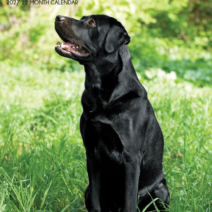 CalendarsRUs Labrador Retriever Zwart A3 Kalender 2027