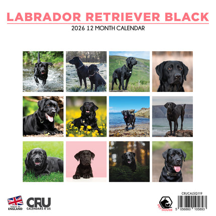 CalendarsRUs Labrador Retriever Zwart Kalender 2026