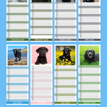 CalendarsRUs Labrador Retriever Zwart Slimline Kalender 2026