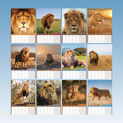 CalendarsRUs Leeuwen A3 Kalender 2027