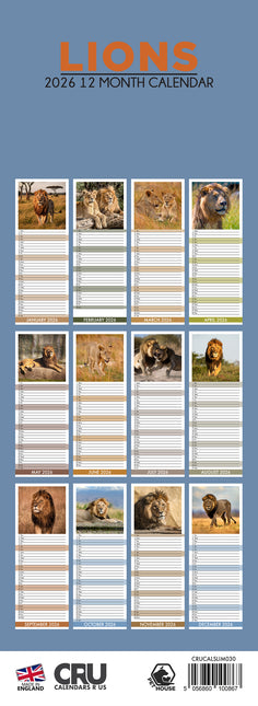 CalendarsRUs Leeuwen Slimline Kalender 2026