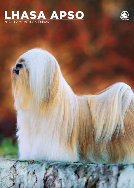 CalendarsRUs Lhasa Apso A3 Kalender 2026