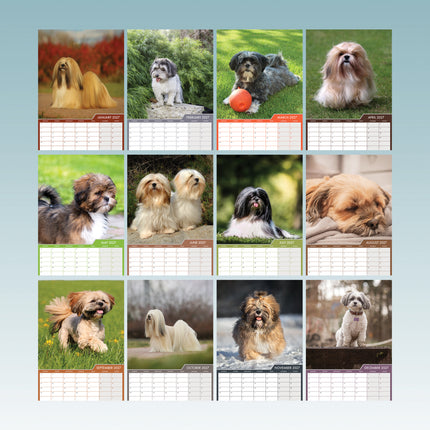 CalendarsRUs Lhasa Apso A3 Kalender 2027
