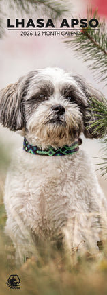 CalendarsRUs Lhasa Apso Slimline Kalender 2026