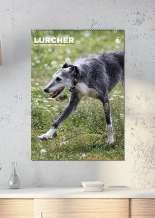 CalendarsRUs Lurcher A3 Kalender 2027