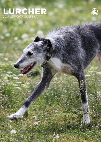 CalendarsRUs Lurcher A3 Kalender 2027