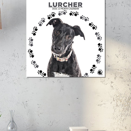 CalendarsRUs Lurcher Kalender 2026