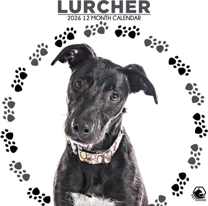 CalendarsRUs Lurcher Kalender 2026