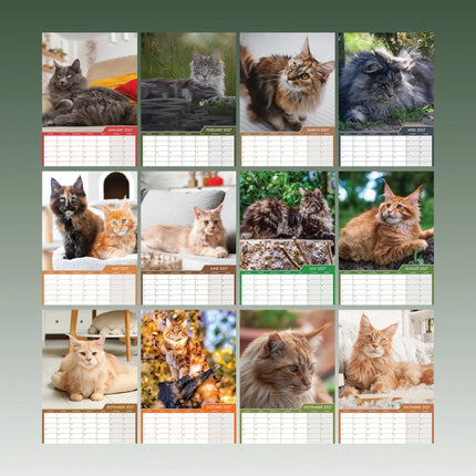CalendarsRUs Maine Coon A3 Kalender 2027