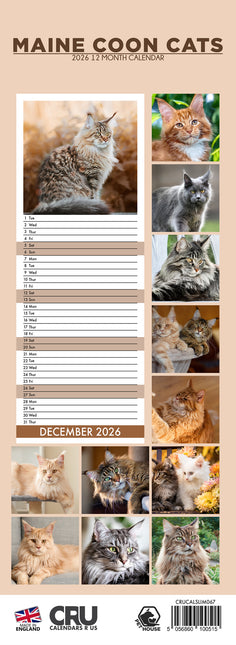 CalendarsRUs Maine Coon Slimline Kalender 2026