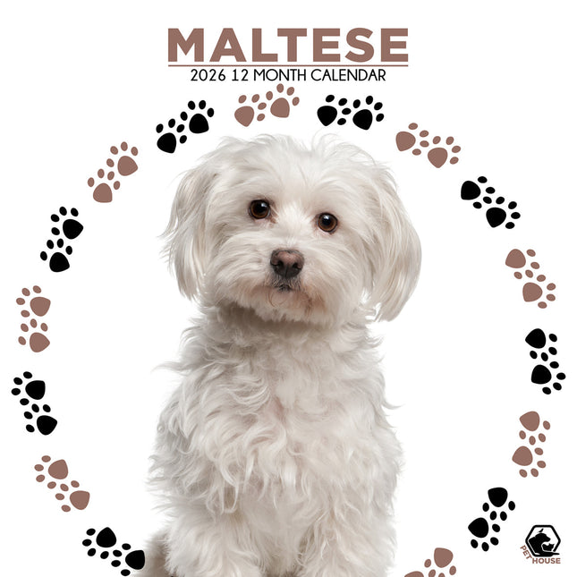 CalendarsRUs Maltezer Kalender 2026