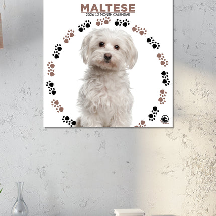 CalendarsRUs Maltezer Kalender 2026