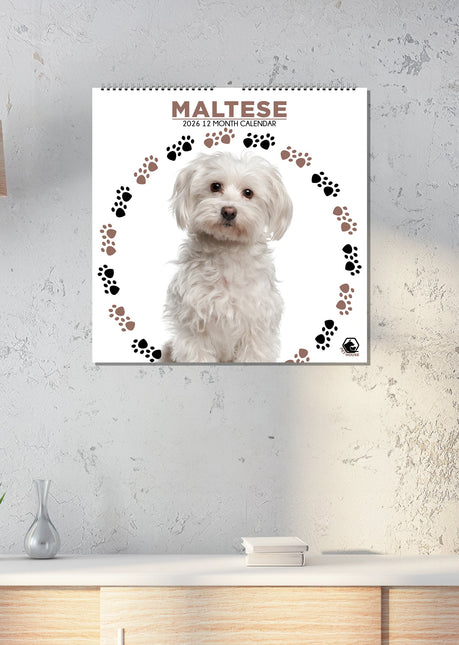 CalendarsRUs Maltezer Kalender 2026
