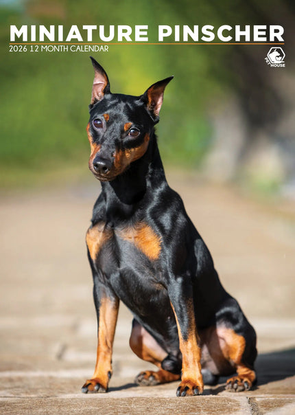CalendarsRUs Miniatuur Pinscher A3 Kalender 2027