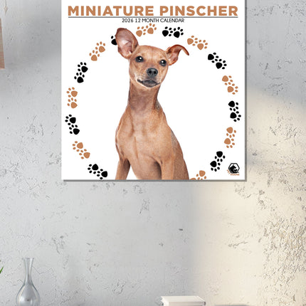 CalendarsRUs Miniatuur Pinscher Kalender 2026