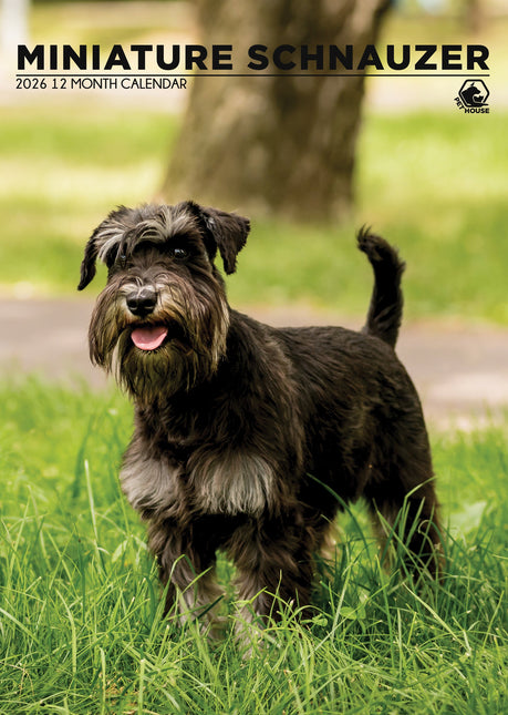 CalendarsRUs Miniatuur Schnauzer A3 Kalender 2026