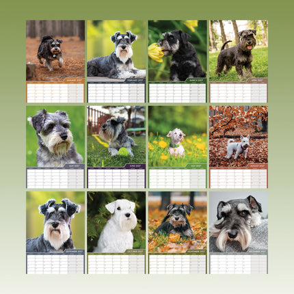 CalendarsRUs Miniatuur Schnauzer A3 Kalender 2027