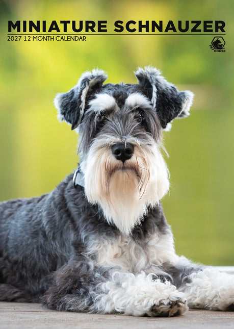 CalendarsRUs Miniatuur Schnauzer A3 Kalender 2027