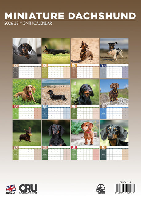 CalendarsRUs Miniatuur Teckel A3 Kalender 2026