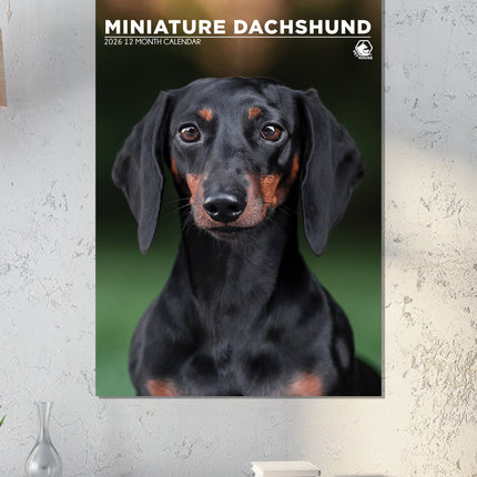 CalendarsRUs Miniatuur Teckel A3 Kalender 2026